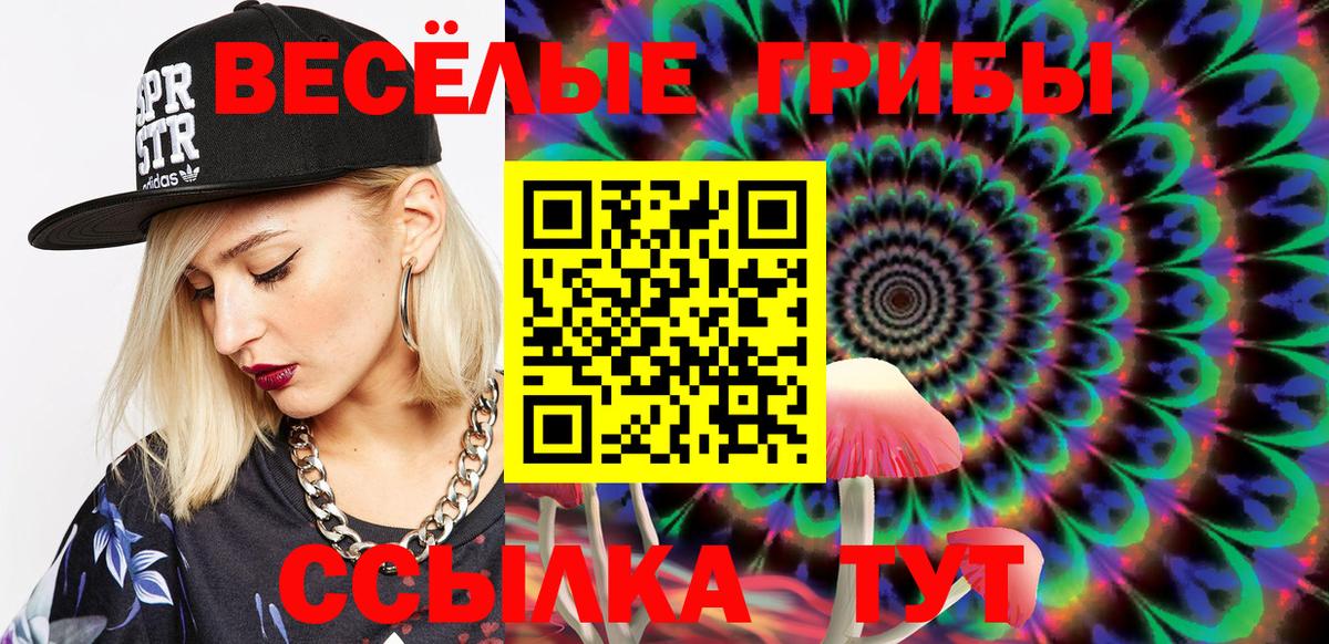 Псилоцибиновые грибы Psilocybine cubensis Углич